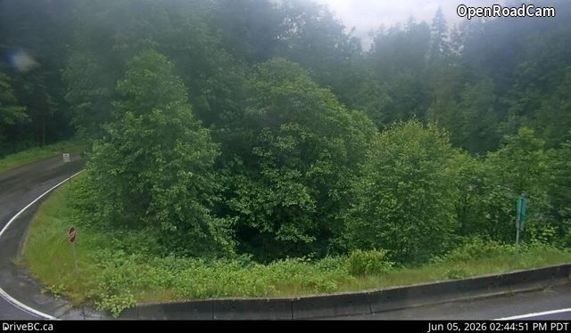 Herrling Island Overpass - W