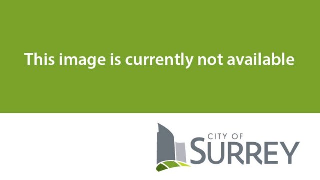 64 Ave & Fraser Hwy