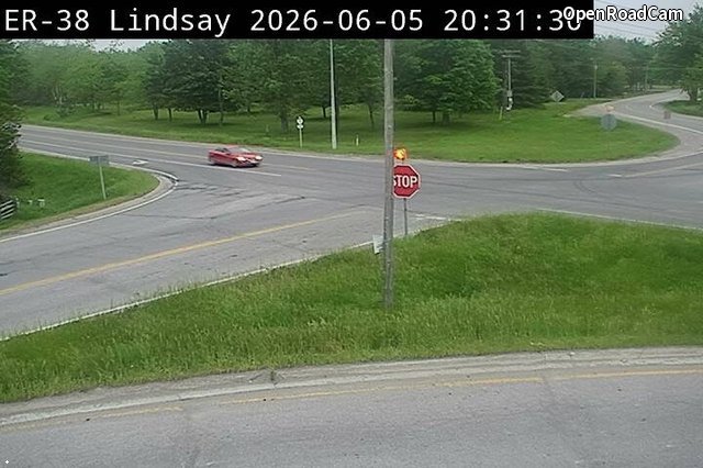 Highway 7 near Elm Tree Road
