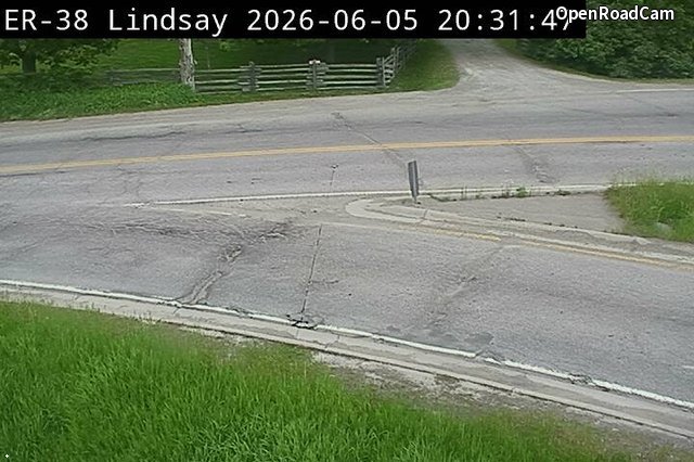 Highway 7 near Elm Tree Road