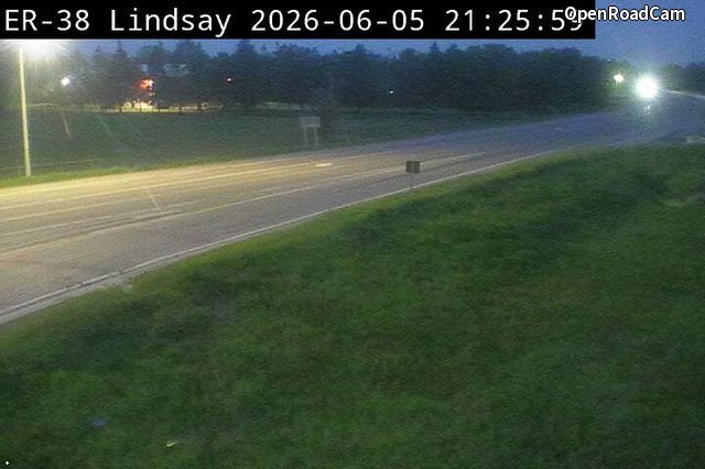 Highway 7 near Elm Tree Road