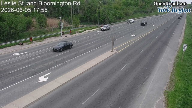 Leslie St. and Bloomington Rd.