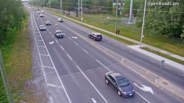 Terry Fox & Castlefrank / Abbott
