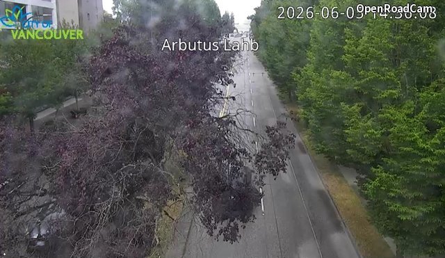 Arbutus St and W Lahb Ave - North